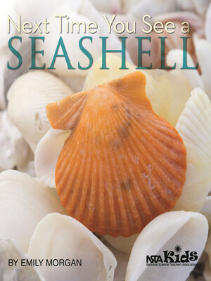 cover image of Next Time You See a Seashell